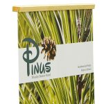 Деревяный стенд Pinus_String_luontoa_saastava_mainos_hinta_ekologisk_reklam